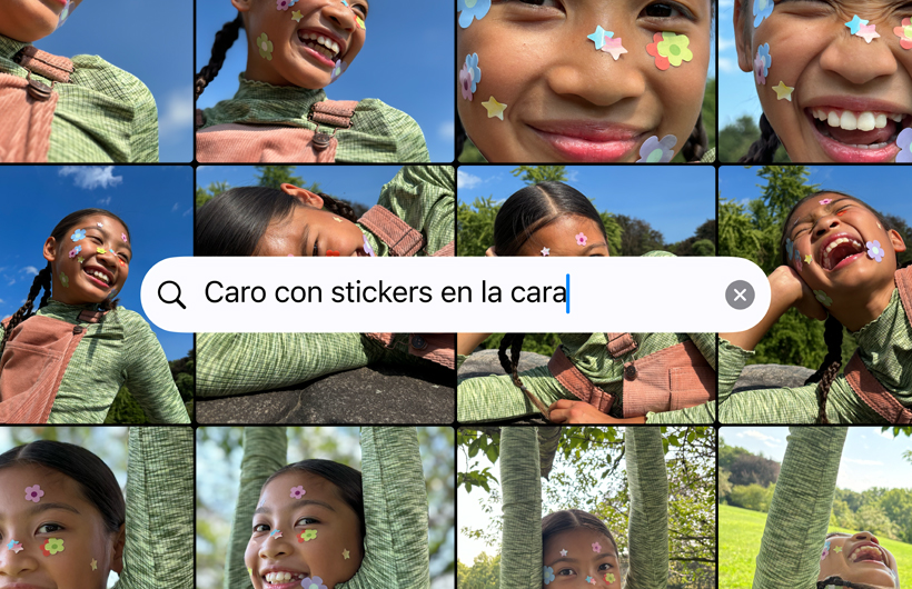 Cuadrícula de fotos basada en la búsqueda 